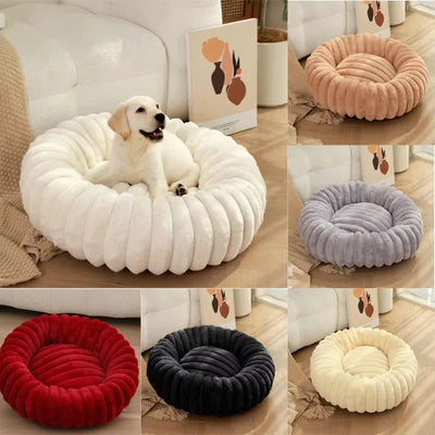 COUSSIN SOLO