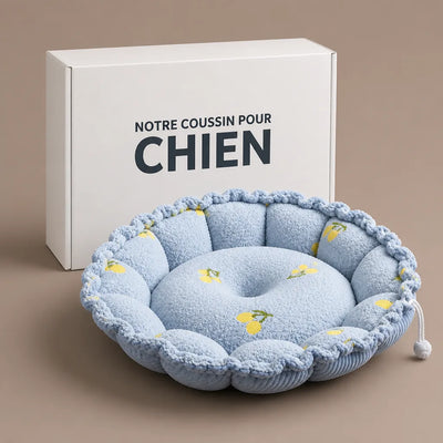 COUSSIN SOLO
