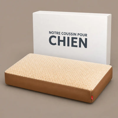COUSSIN SOLO