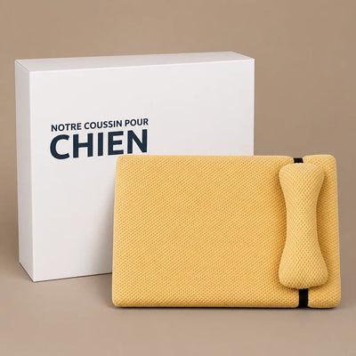 COUSSIN SOLO
