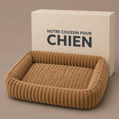 VOTRE ARTICLE