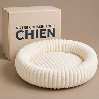 VOTRE ARTICLE