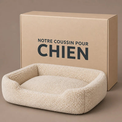 VOTRE ARTICLE