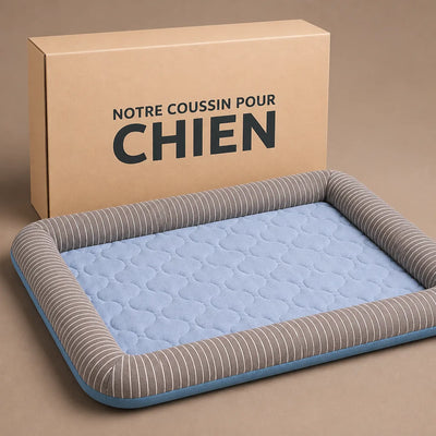 COUSSIN SOLO
