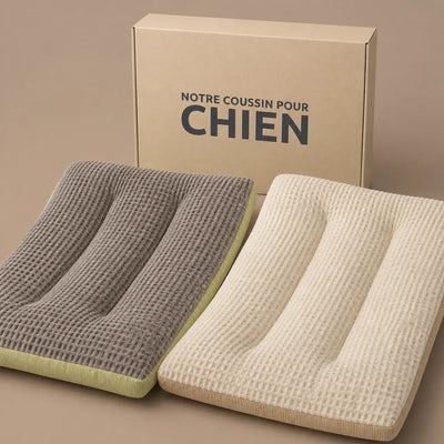 COUSSIN SOLO