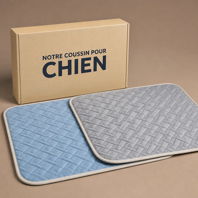 COUSSIN SOLO