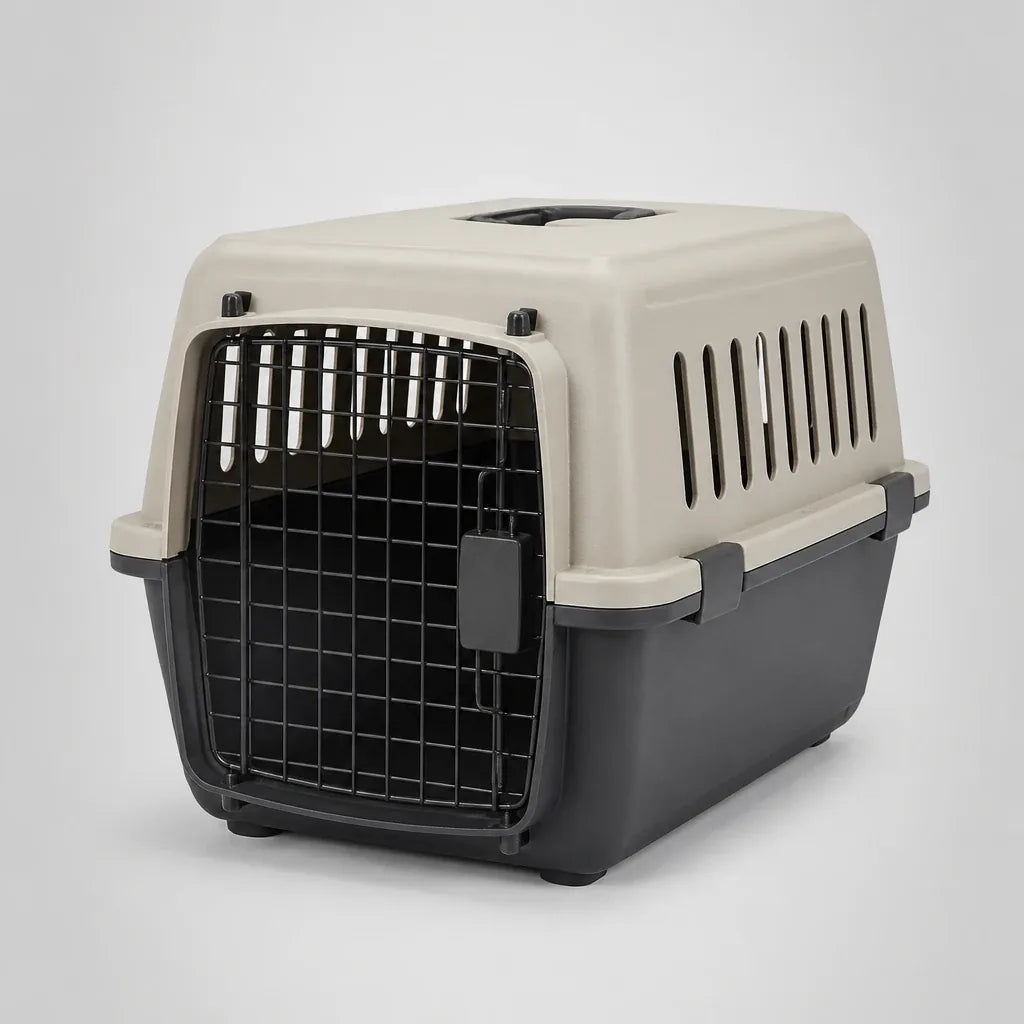 Caisse De Transport Chien