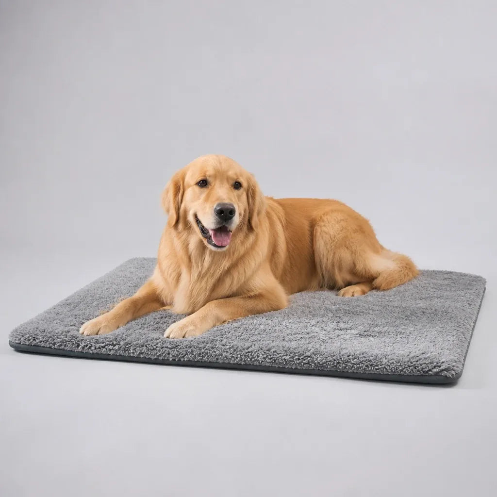 Tapis Pour Chien
