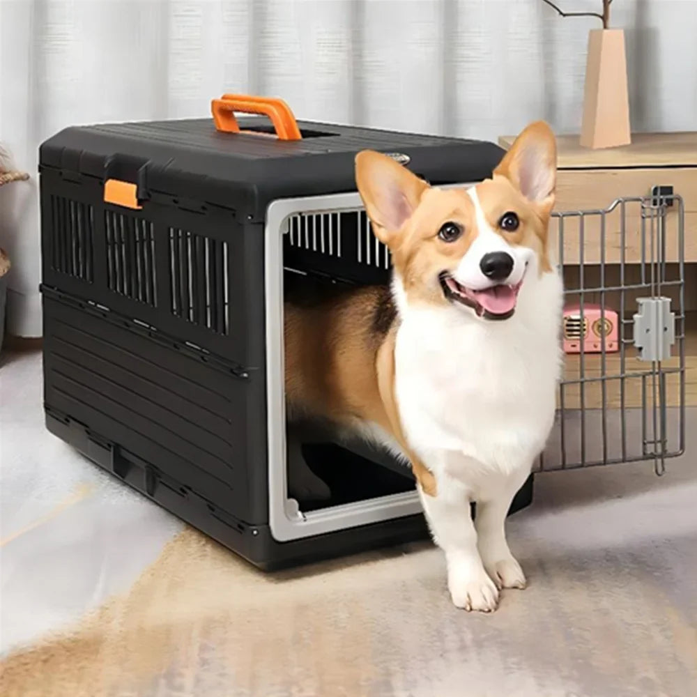 🗑️ SRC-ALIEXPRESS