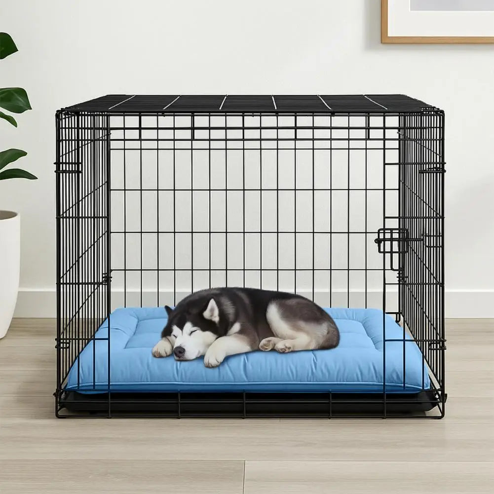 🗑️ SRC-ALIEXPRESS