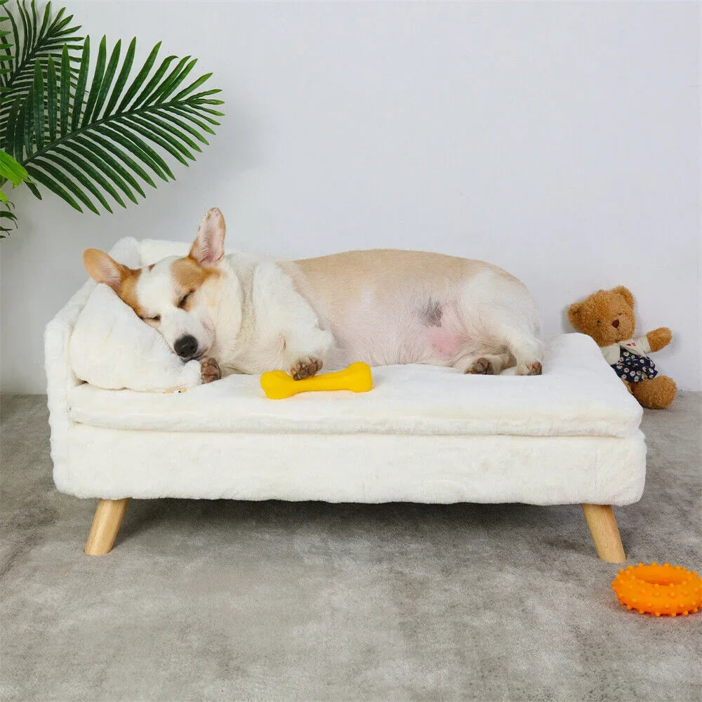 🗑️ SRC-ALIEXPRESS