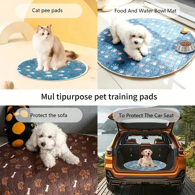 🗑️ SRC-ALIEXPRESS