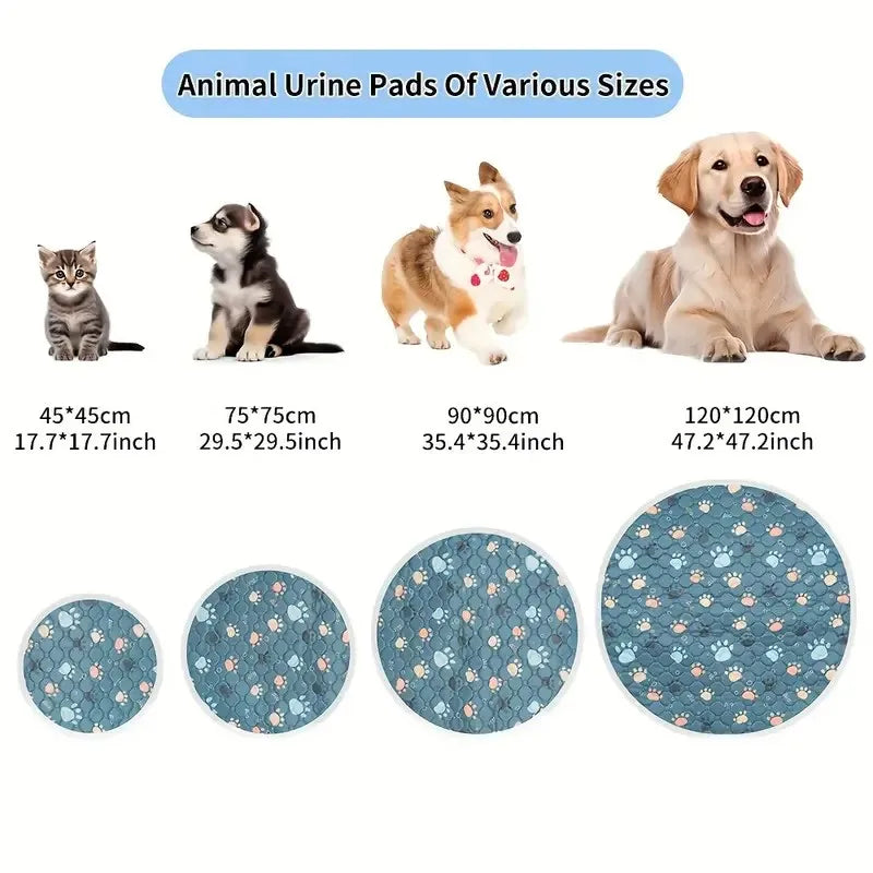 🗑️ SRC-ALIEXPRESS