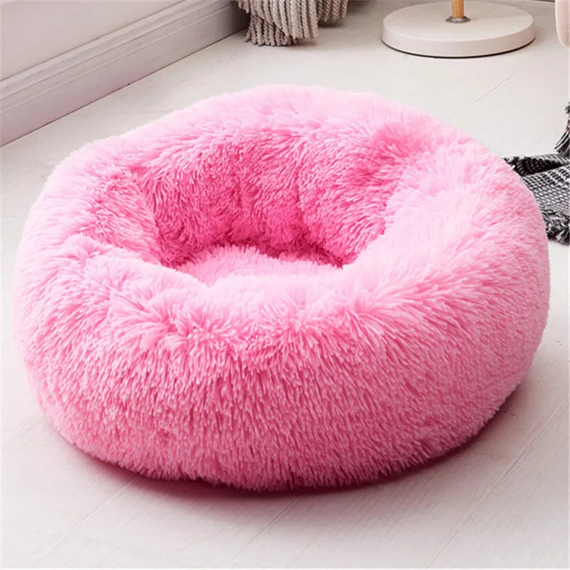 🗑️ SRC-ALIEXPRESS