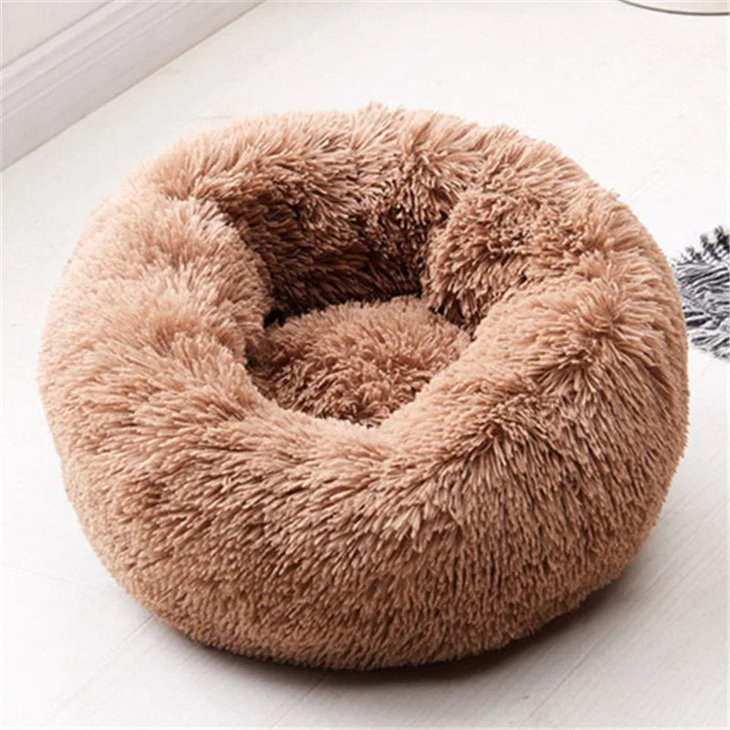 🗑️ SRC-ALIEXPRESS
