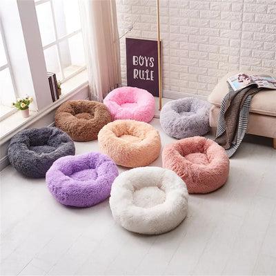 COUSSIN SOLO