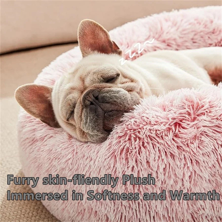 🗑️ SRC-ALIEXPRESS