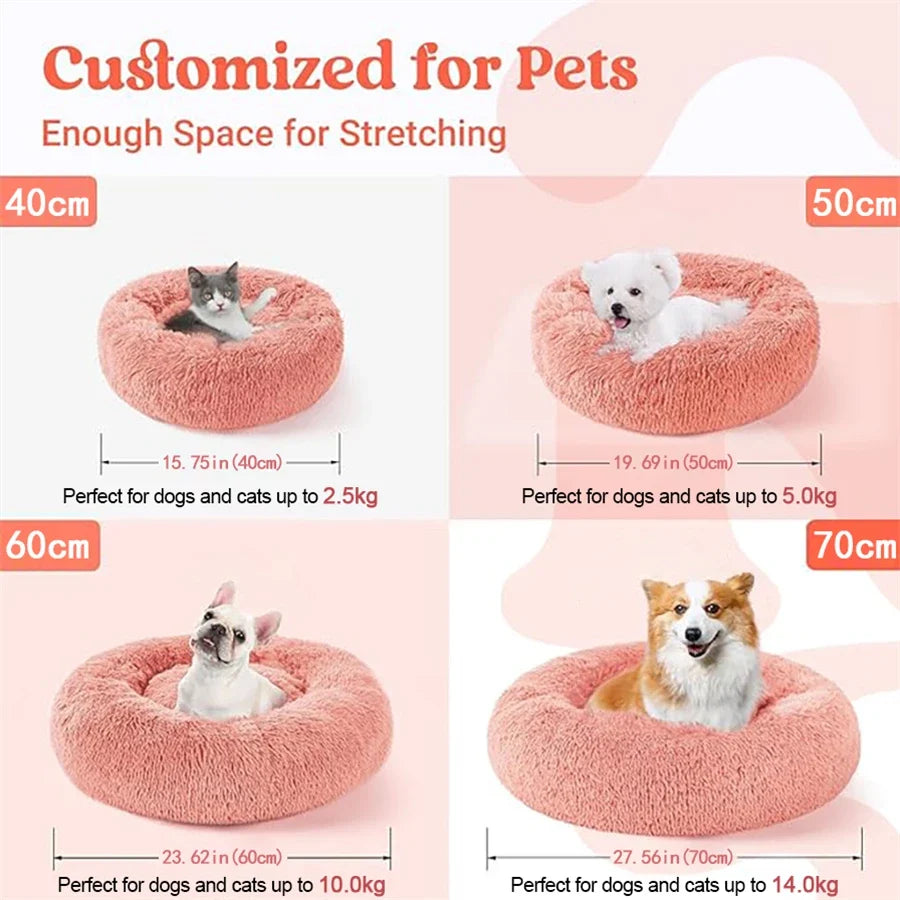 🗑️ SRC-ALIEXPRESS