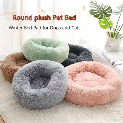 COUSSIN SOLO