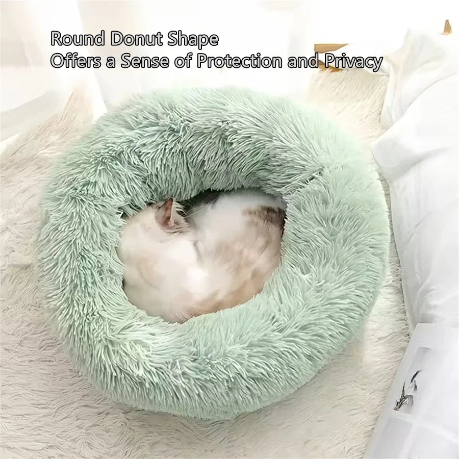 🗑️ SRC-ALIEXPRESS