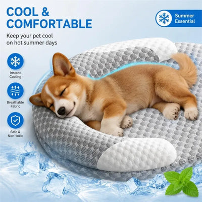 COUSSIN SOLO