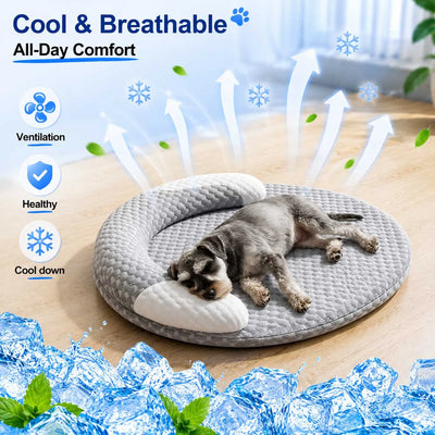 COUSSIN SOLO