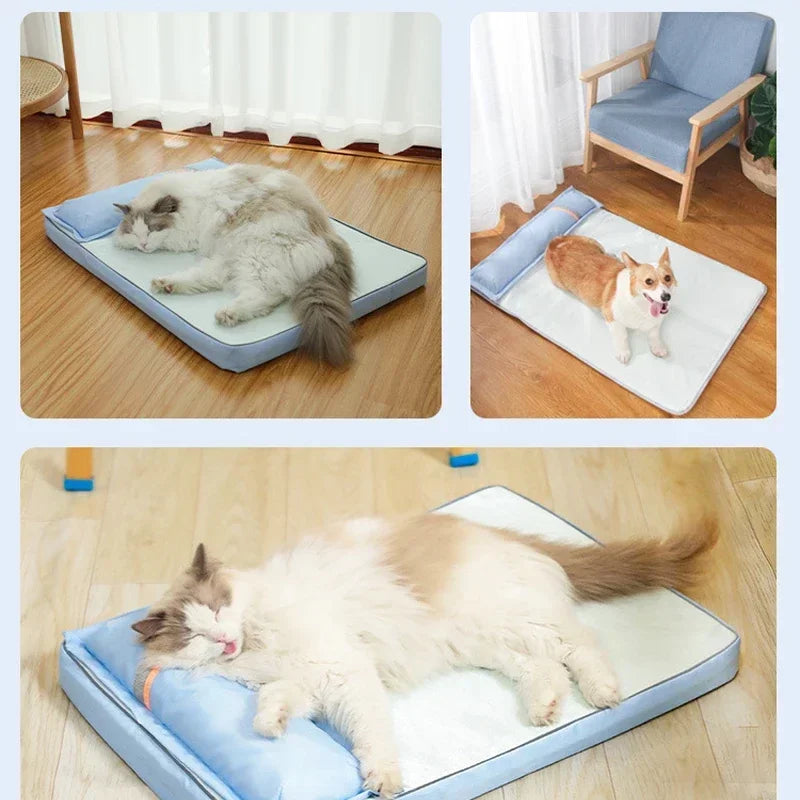 🗑️ SRC-ALIEXPRESS