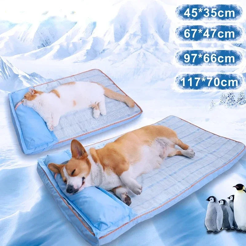 🗑️ SRC-ALIEXPRESS