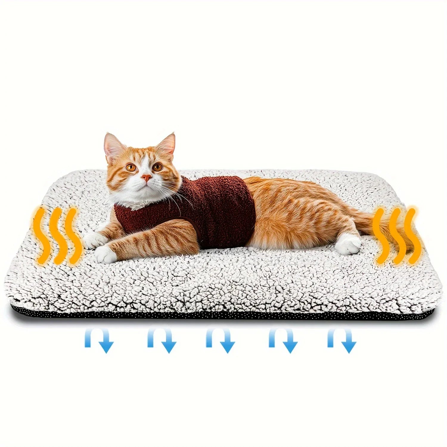 🗑️ SRC-ALIEXPRESS