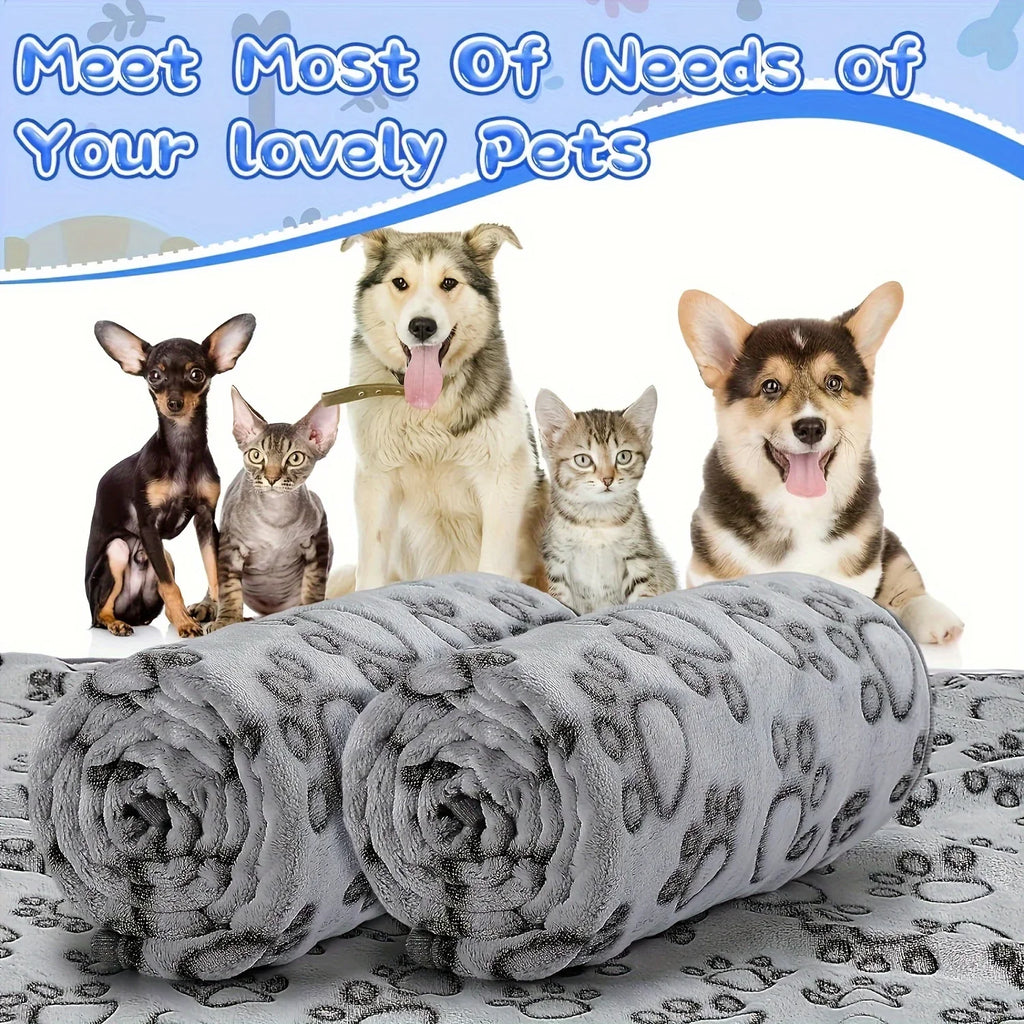 🗑️ SRC-ALIEXPRESS