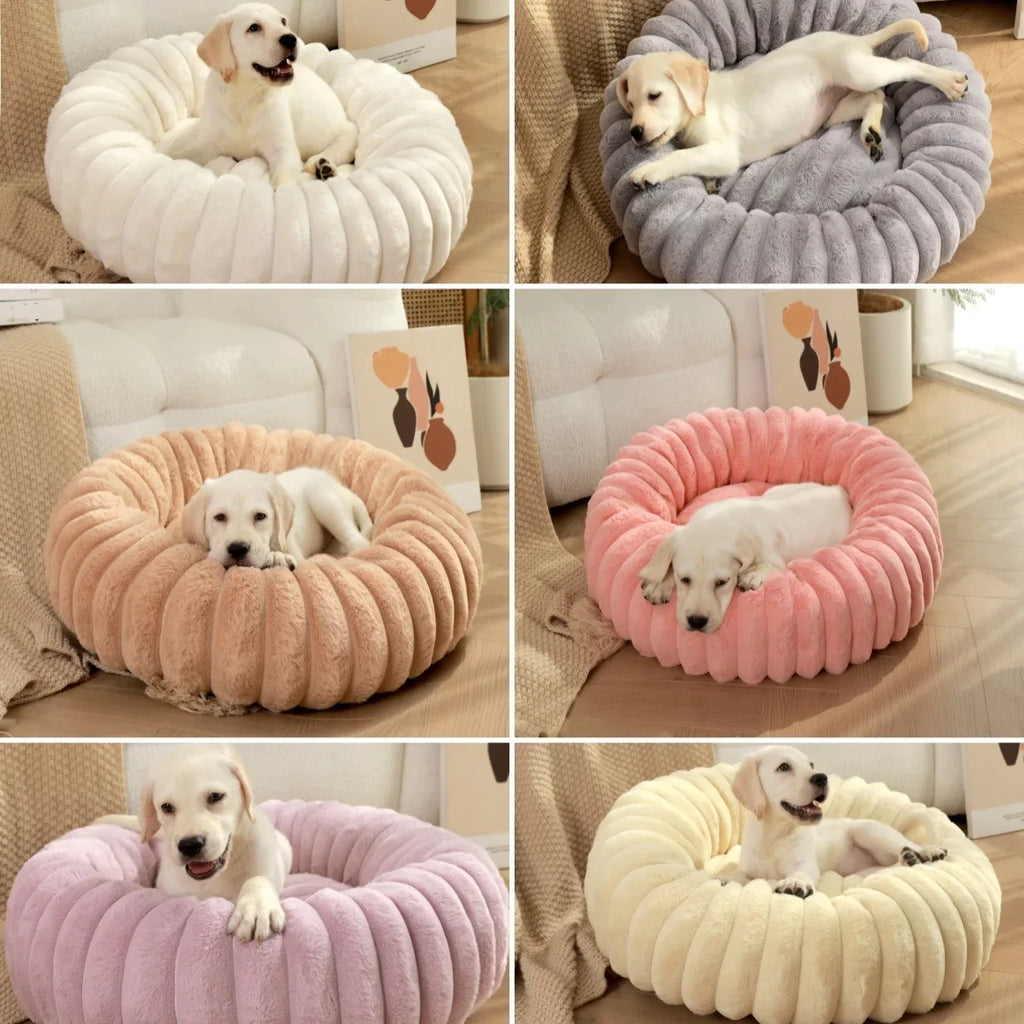 🗑️ SRC-ALIEXPRESS