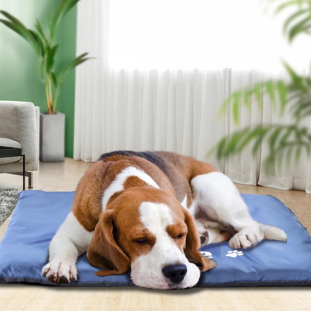 Coussin Pour Chien Personnalisé