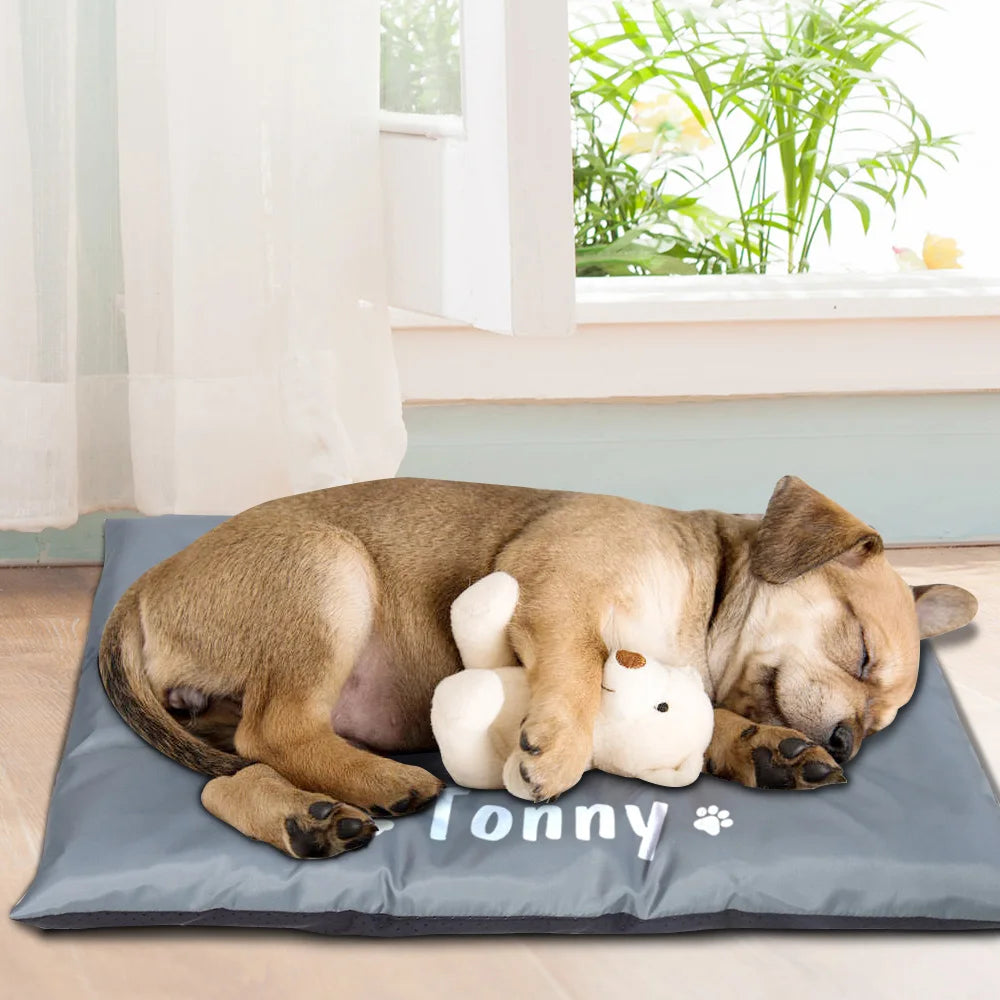 Coussin Pour Chien Personnalisé