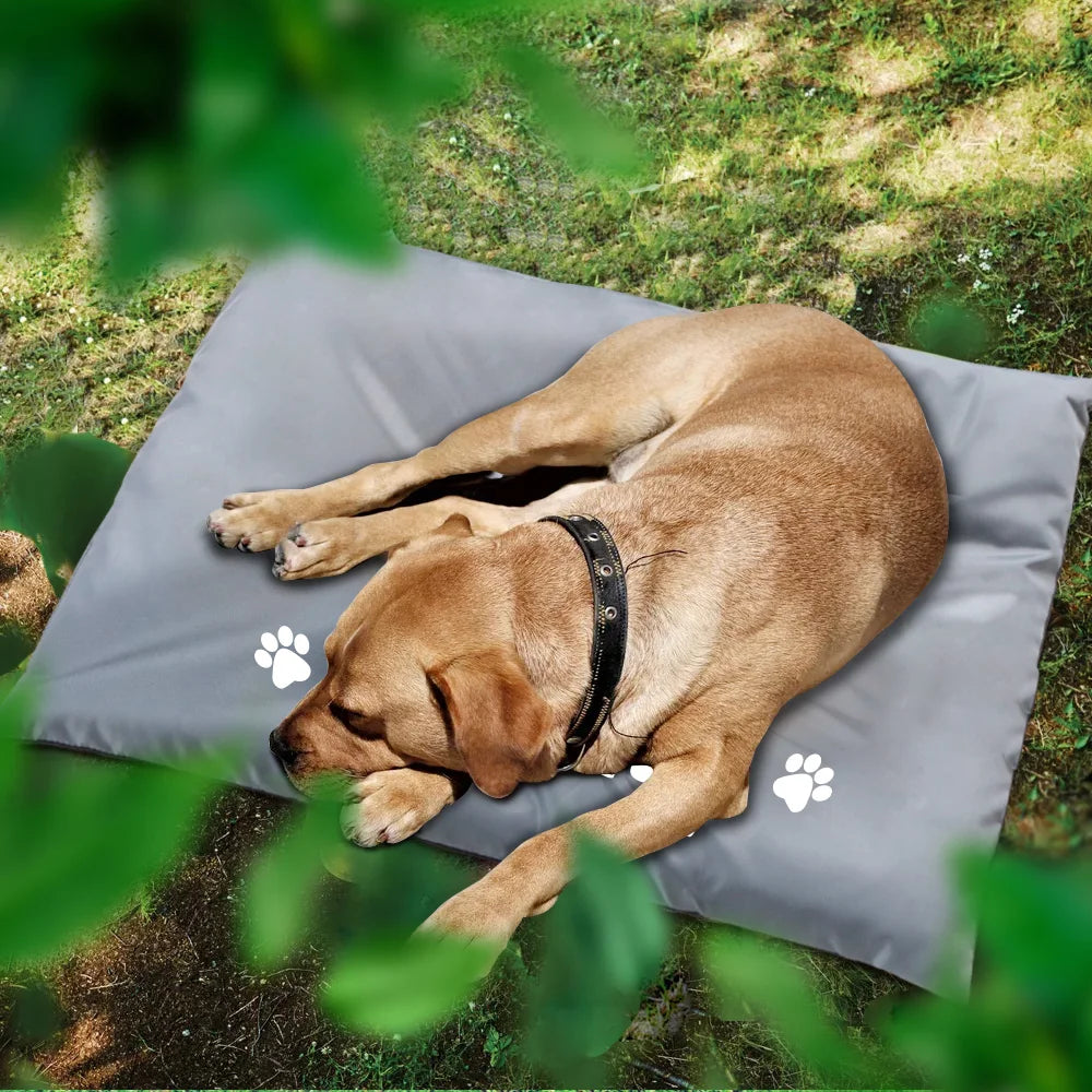 Coussin Pour Chien Personnalisé