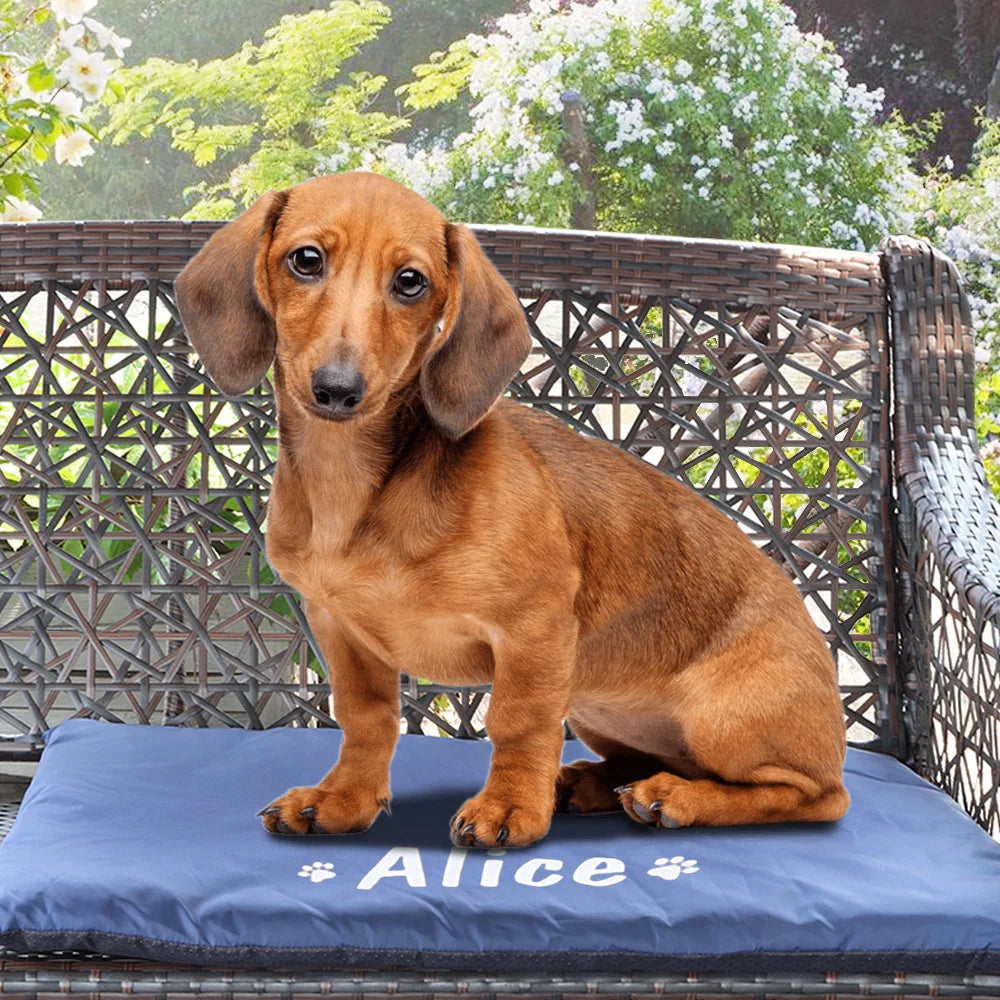 Coussin Pour Chien Personnalisé