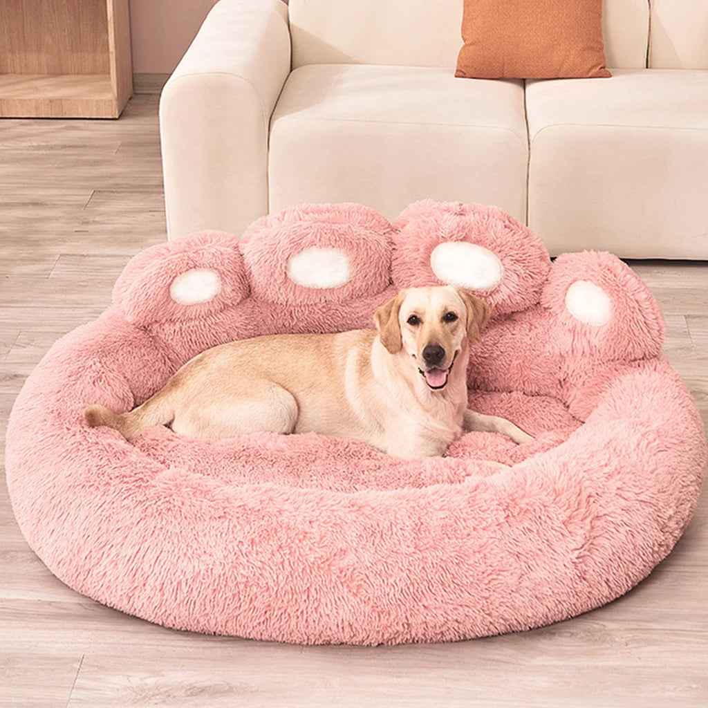🗑️ SRC-ALIEXPRESS