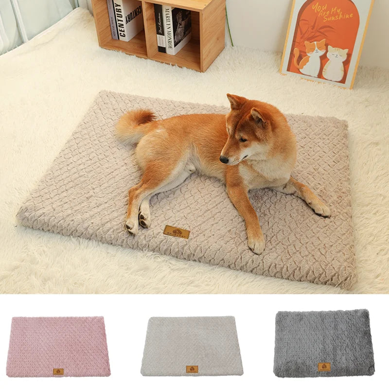 🗑️ SRC-ALIEXPRESS