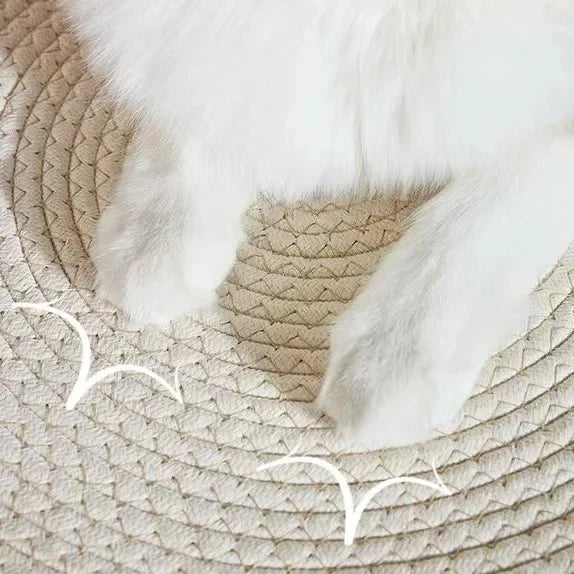 🗑️ SRC-ALIEXPRESS