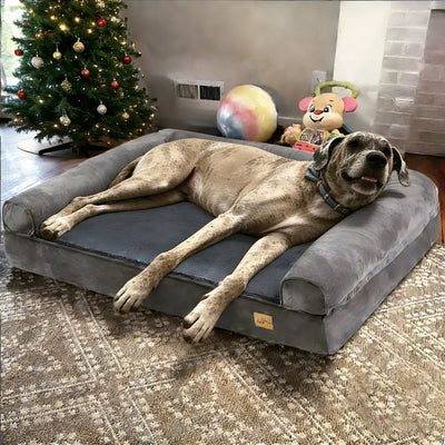 COUSSIN SOLO