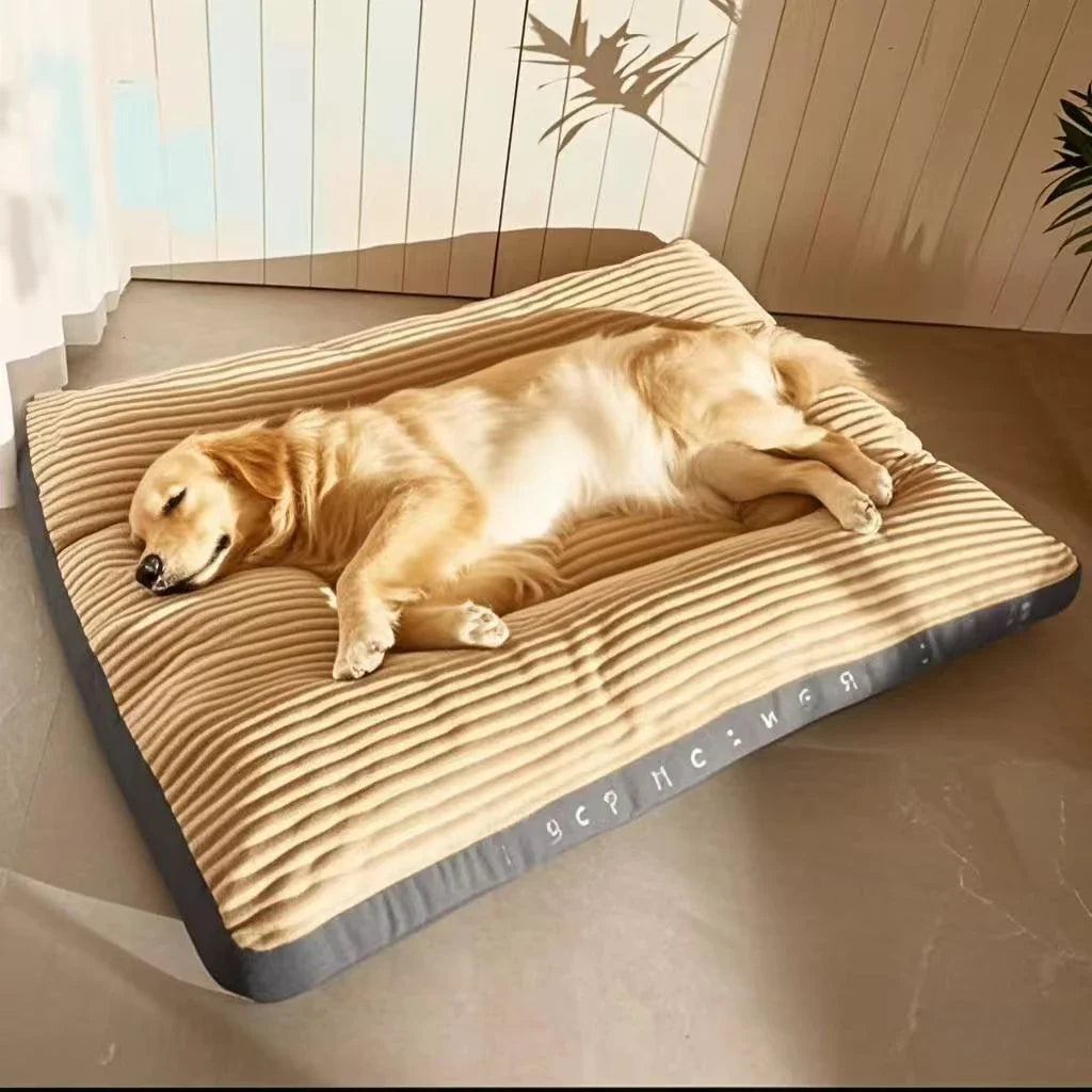 🗑️ SRC-ALIEXPRESS