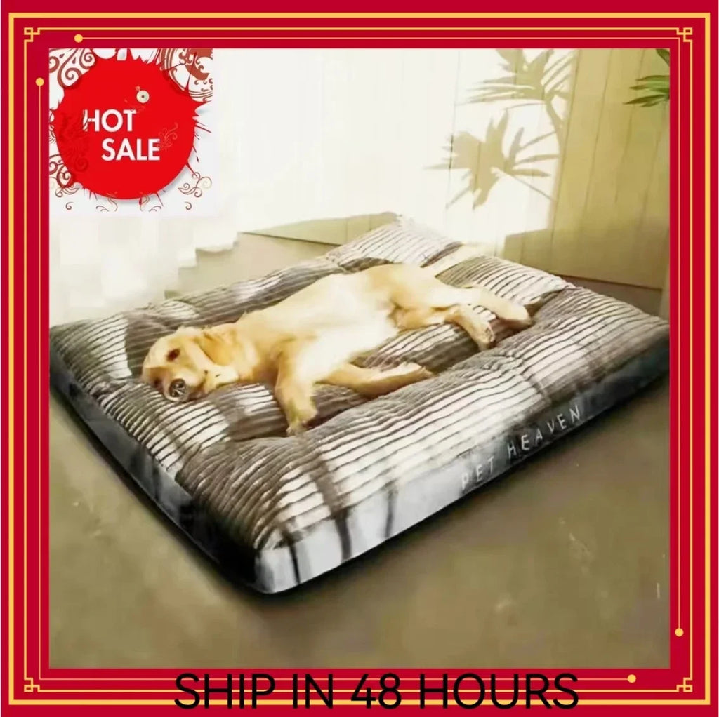 🗑️ SRC-ALIEXPRESS