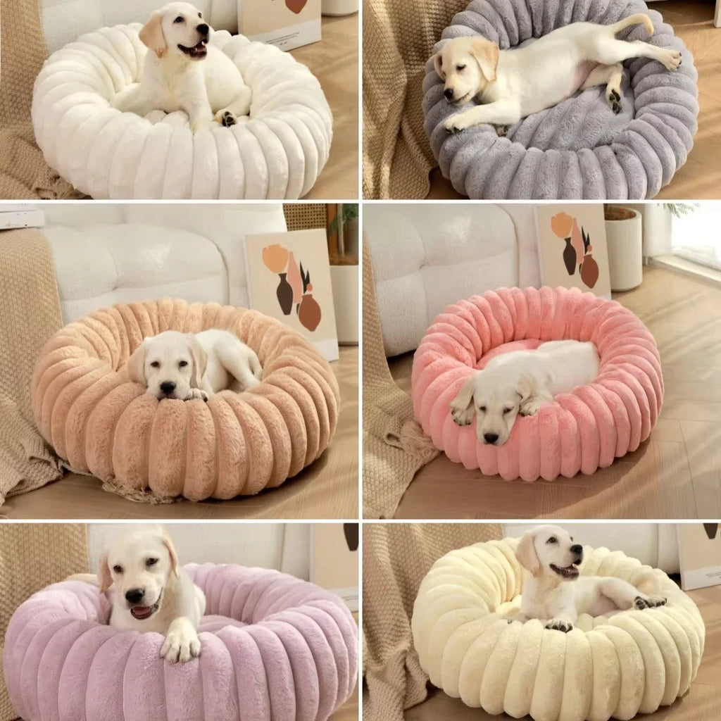 🗑️ SRC-ALIEXPRESS