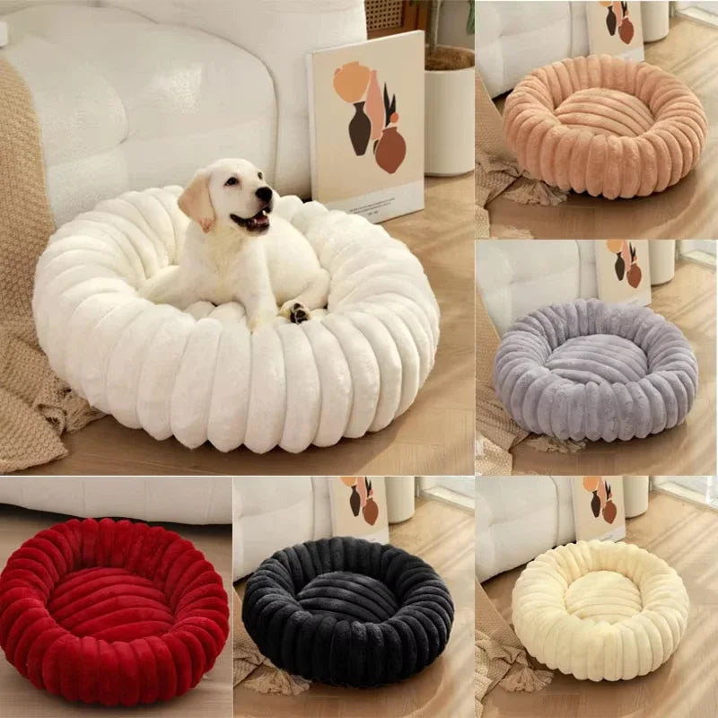 🗑️ SRC-ALIEXPRESS