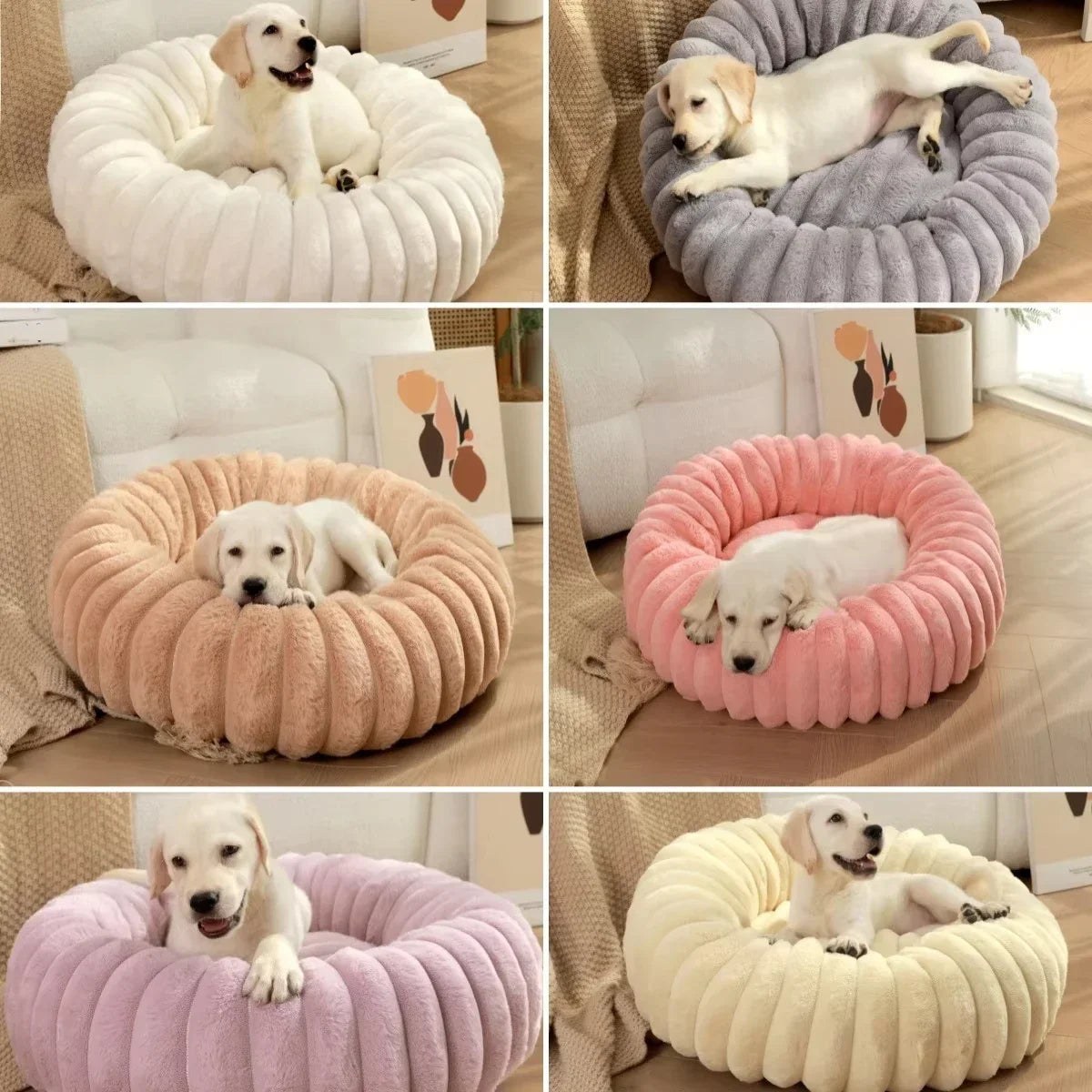 🗑️ SRC-ALIEXPRESS