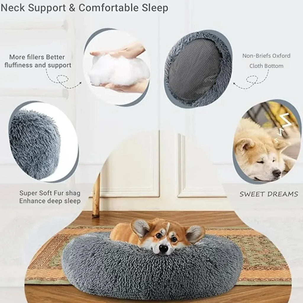 🗑️ SRC-ALIEXPRESS