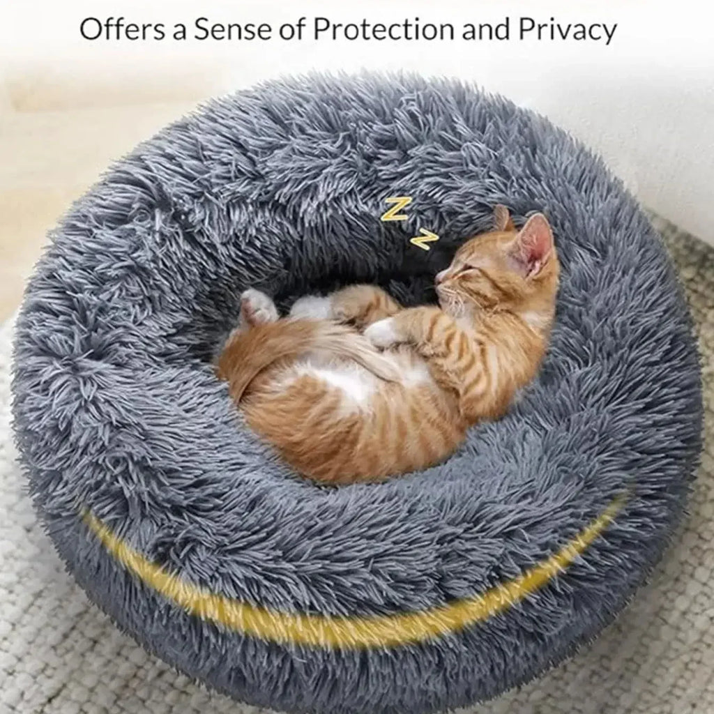 🗑️ SRC-ALIEXPRESS