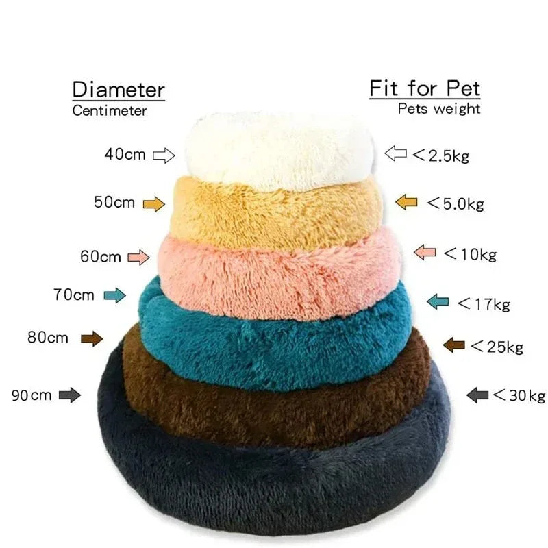 🗑️ SRC-ALIEXPRESS