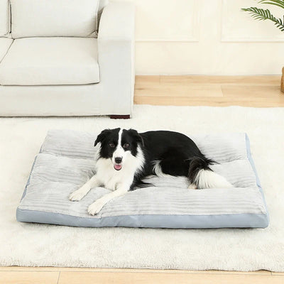 COUSSIN SOLO