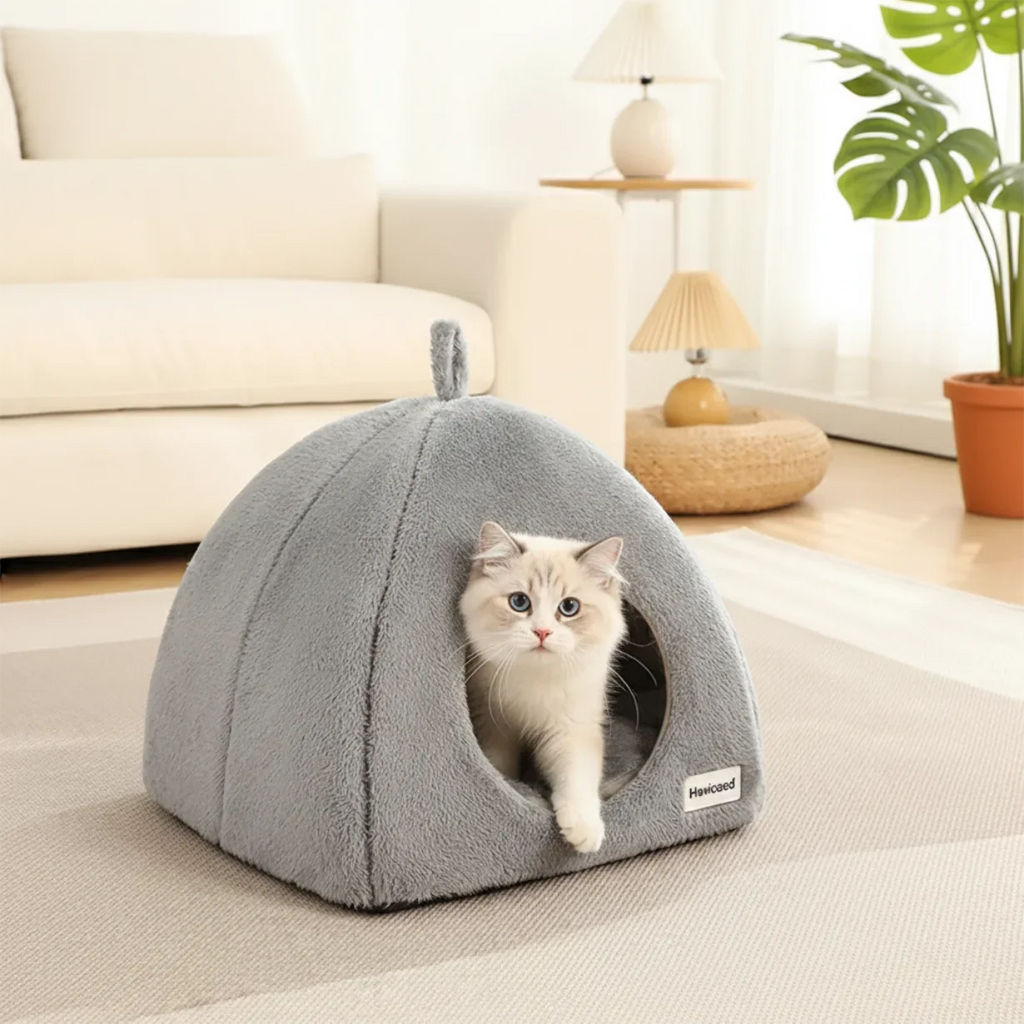 🗑️ SRC-ALIEXPRESS