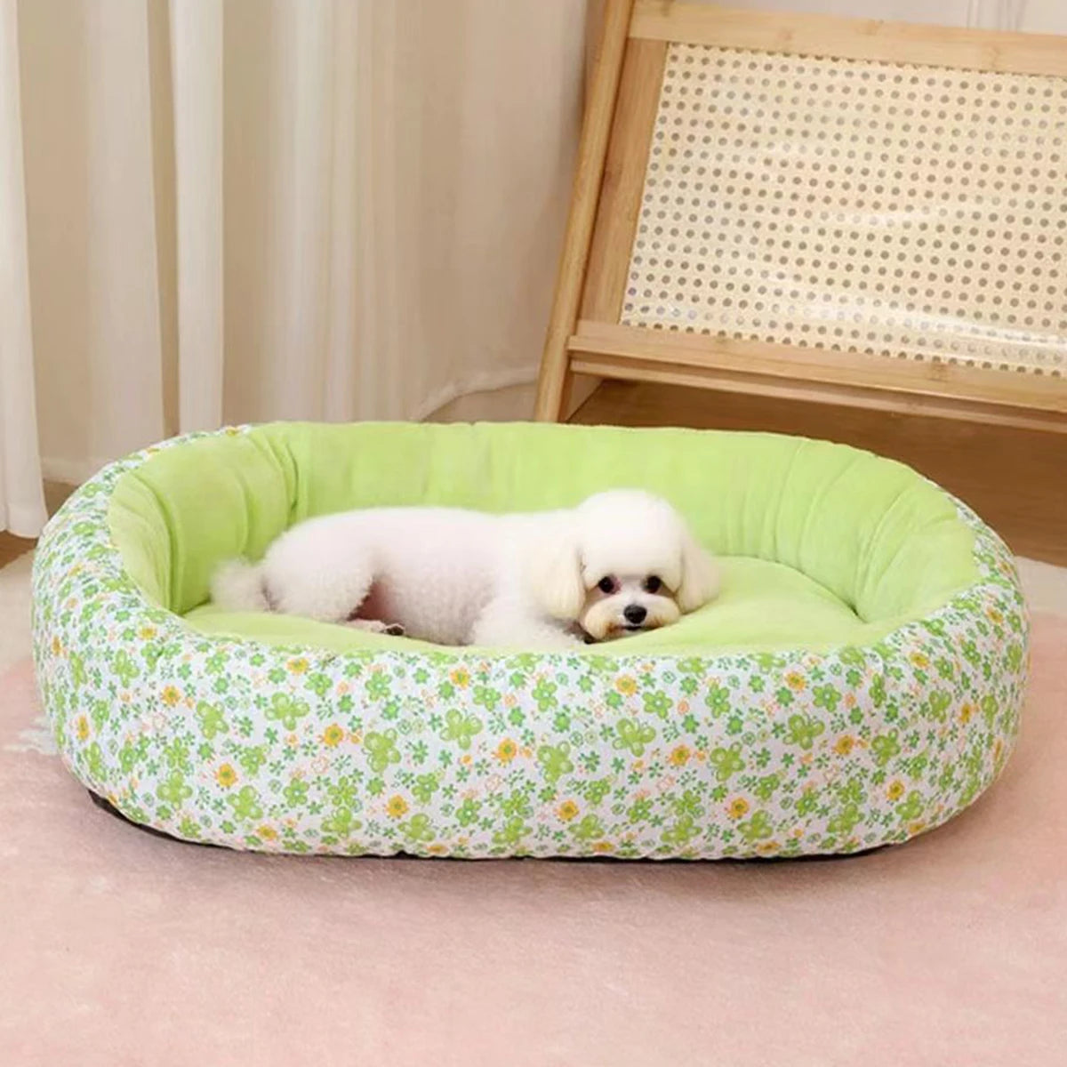 Coussin Pour Chien Bouledogue Francais